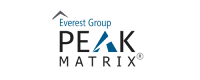 Everest Peak logo